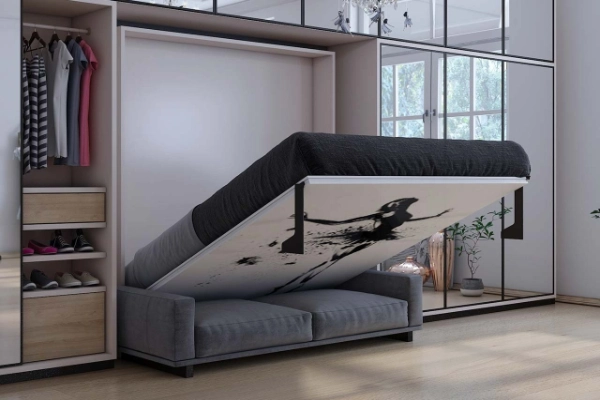 a-murphy-bed-that-doubles-up-as-a-sofa-when-not-in-use5